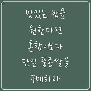 쌀 품종의 세계: 맛과 향, 질감까지 다양한 쌀의 종류 1