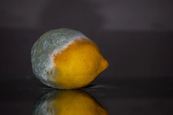 주방의 곰팡이 예방하는 방법 1