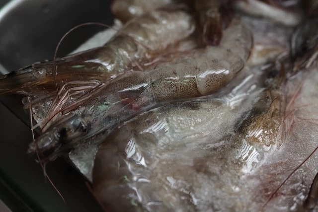 꼭 알아두어야 할 새우 구매 하는 법 2