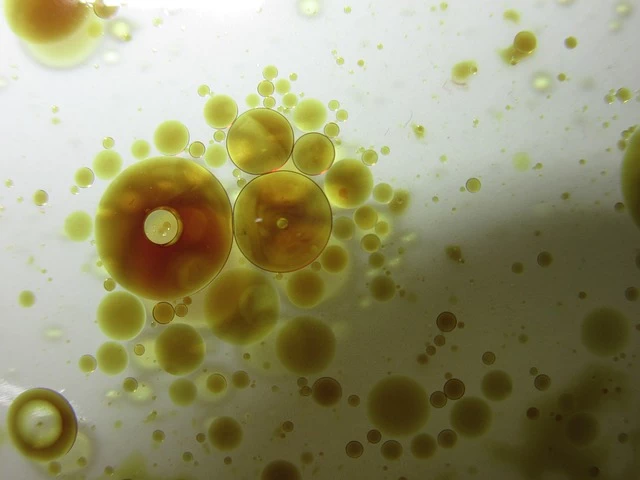 다양한 샐러드 드레싱 레시피: 건강과 맛의 조화 2