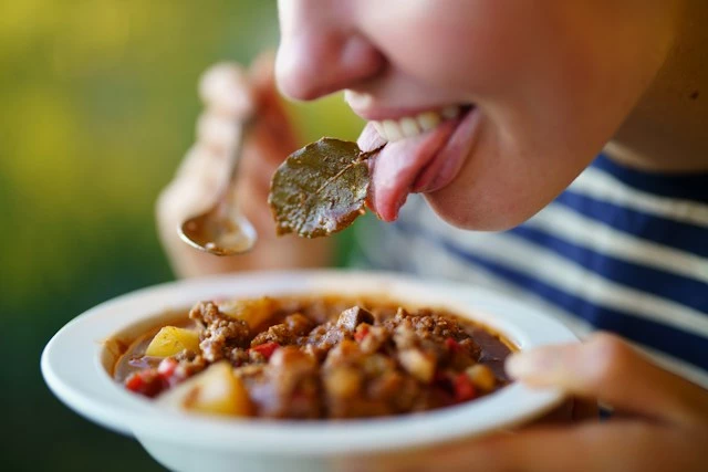 월계수잎 사용하는 법