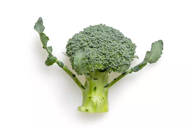 닭고기와 음식 궁합 4