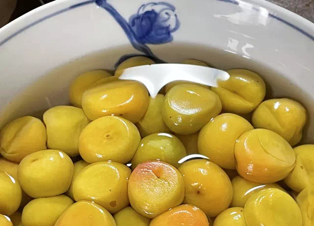 가격이 비싼 매실식초 만드는 법 1