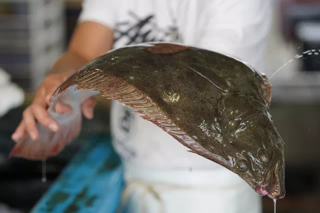 노량진수산시장