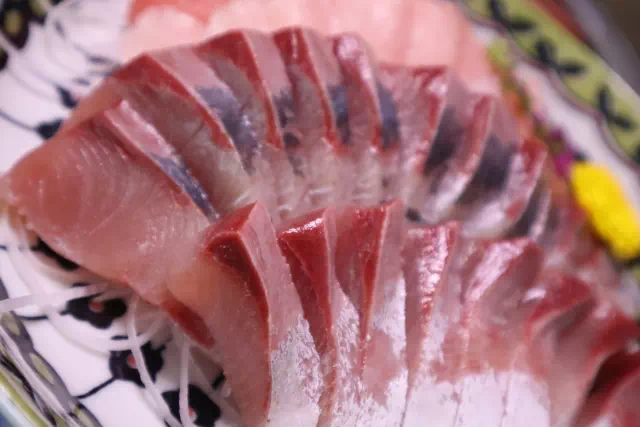 대방어 제철과 양식 방어와의 차이 2