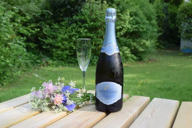 까바 와인 가이드 스페인의 스파클링 3