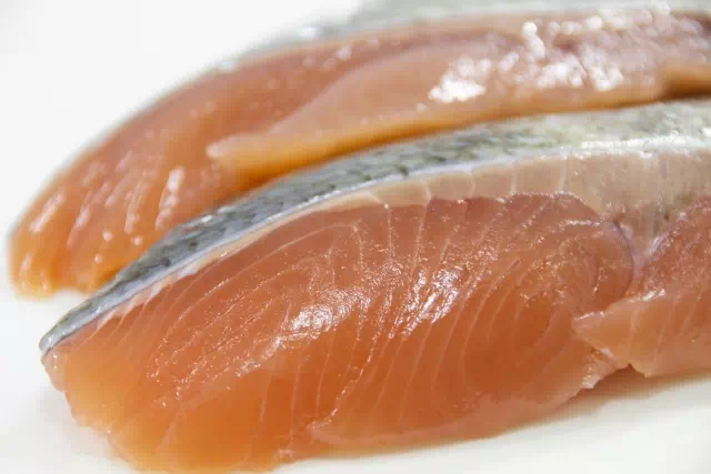 딥스킨 연어가 더 좋다는데 과연 그럴까 3