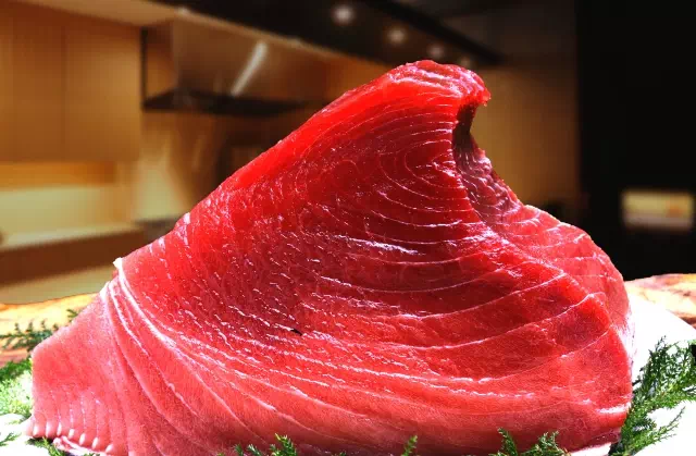 참치 비린내 없이 해동하는 법 10