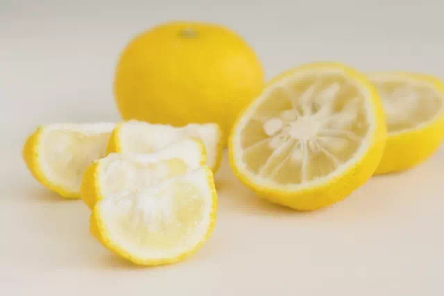 폰즈소스 뜻 알고 먹으면 맛있는 일본 간장 소스 2