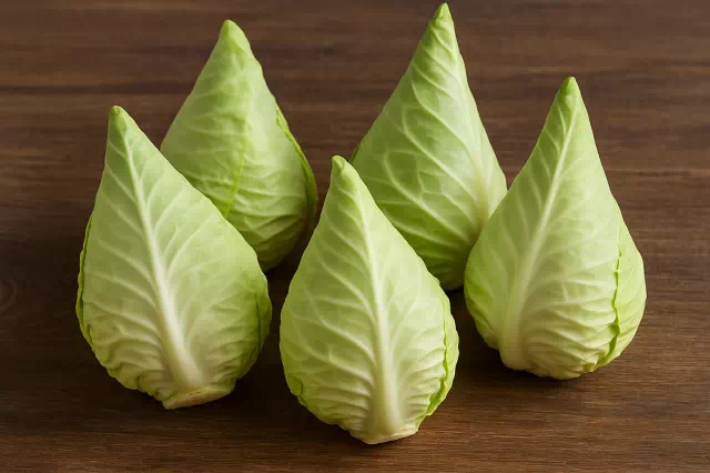 꼬깔양배추 효능은 특별할까? 1