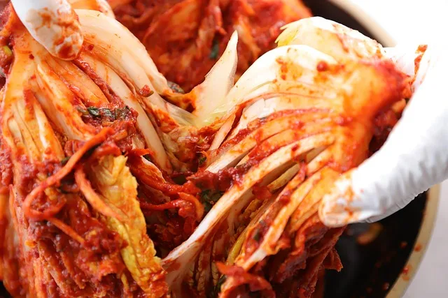 김치 유산균을 살리는 방법 1